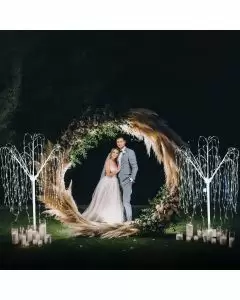 Décoration de Mariage - Combo Arche Circulaire Argentée  & 2 Saules Pleureur Lumineux 180 cm Blanc Chaud